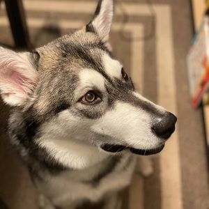 Meet your Posher, Cosimo